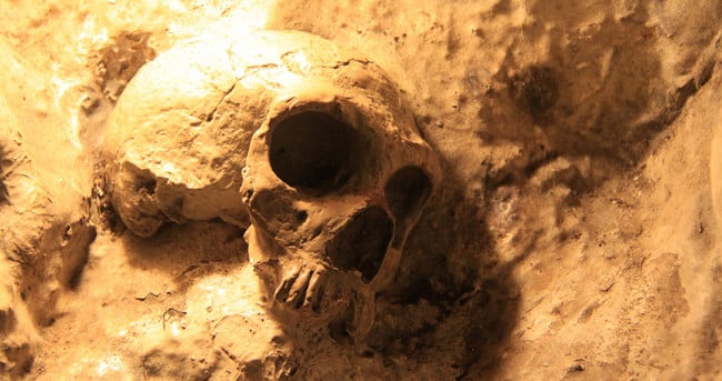Огромная челюсть древнего человека привела ученых в недоумение