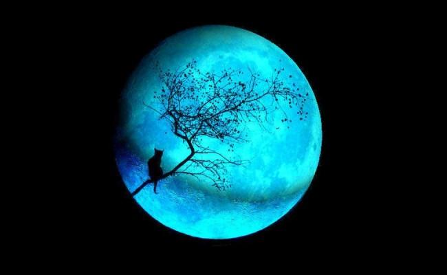 В пятницу весь мир сможет наблюдать голубую Луну