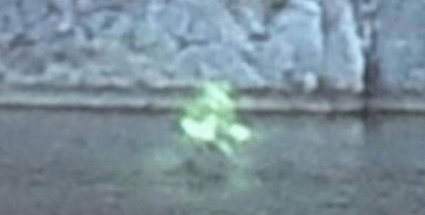 Бегущего по воде инопланетянина сняли на фото