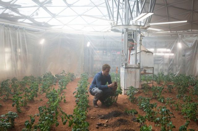NASA планирует выращивать картофель на Марсе