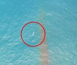 Дрон заснял НЛО у берегов Чили