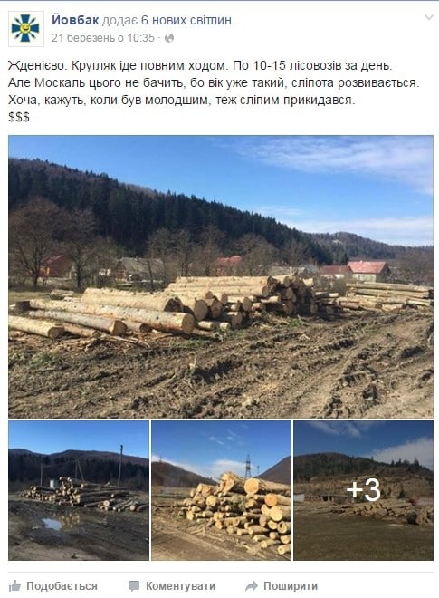 Расследование СМИ: нардеп Сольвар зарабатывает миллионы на незаконной вырубке леса и его экспорте в Румынию Расследование СМИ: нардеп Сольвар зарабатывает миллионы на незаконной вырубке леса и его экспорте в Румынию