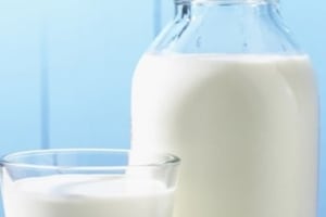 Ученые рассказали, почему человечеству стоит заменить коровье молоко тараканьим