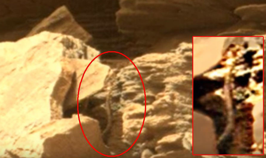 Марсоход сфотографировал гигантскую змею в марсианских скалах