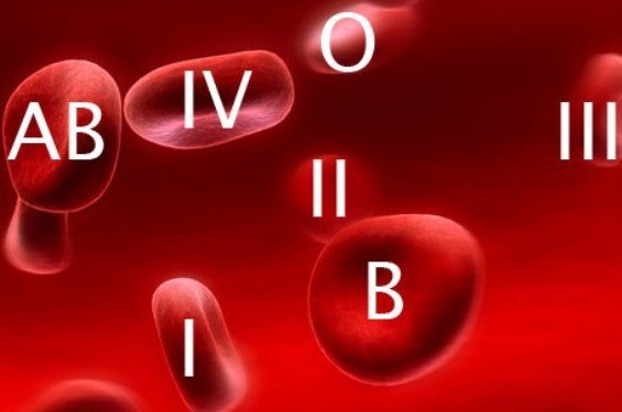 Ученые изобрели бумагу, определяющую группу крови