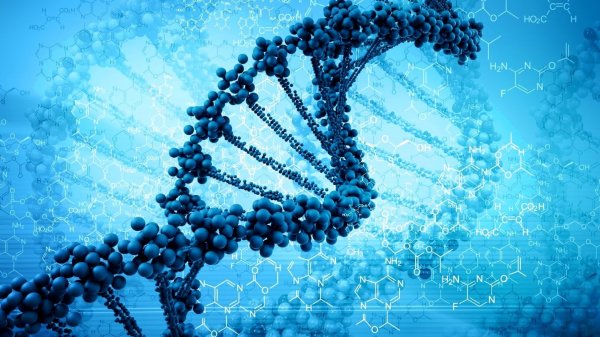 Ученые расшифровали геном человека, что поможет вылечить любую болезнь
