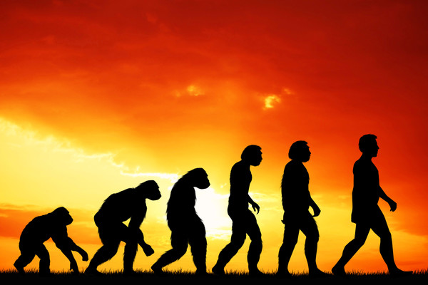 Ученые опровергли эволюцию человека