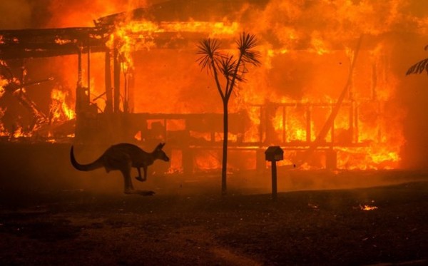 Масштабные пожары станут обыденностью из-за экологии