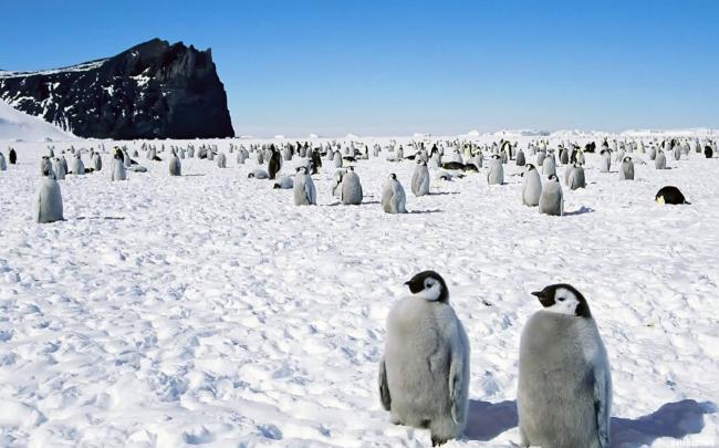 Антарктида: Тайны шестого контитента