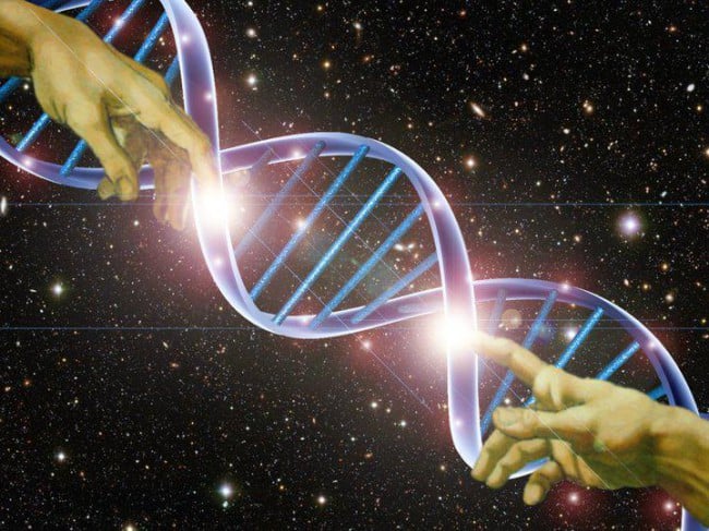 В ДНК человека обнаружили 145 «чужеродных» гена