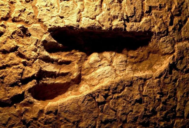 В Канаде нашли следы человека, оставленные 13 тысяч лет назад