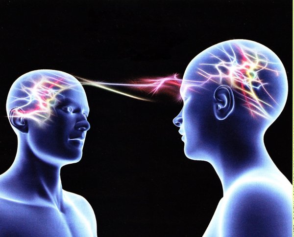 Сенсация: ученые соединили два человеческих мозга через интернет