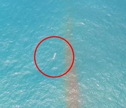 Дрон заснял НЛО у берегов Чили