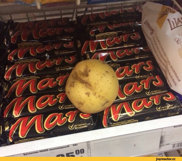 NASA будет выращивать картофель в марсианских условиях