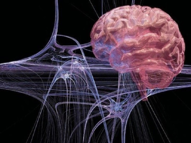 Ученые считают, что уже могут реанимировать мертвый мозг
