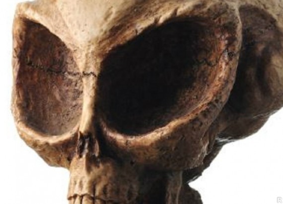В Дании ученые нашли череп большеглазого пришельца