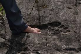 Великаны есть: в Китае нашли гигантские отпечатки ног