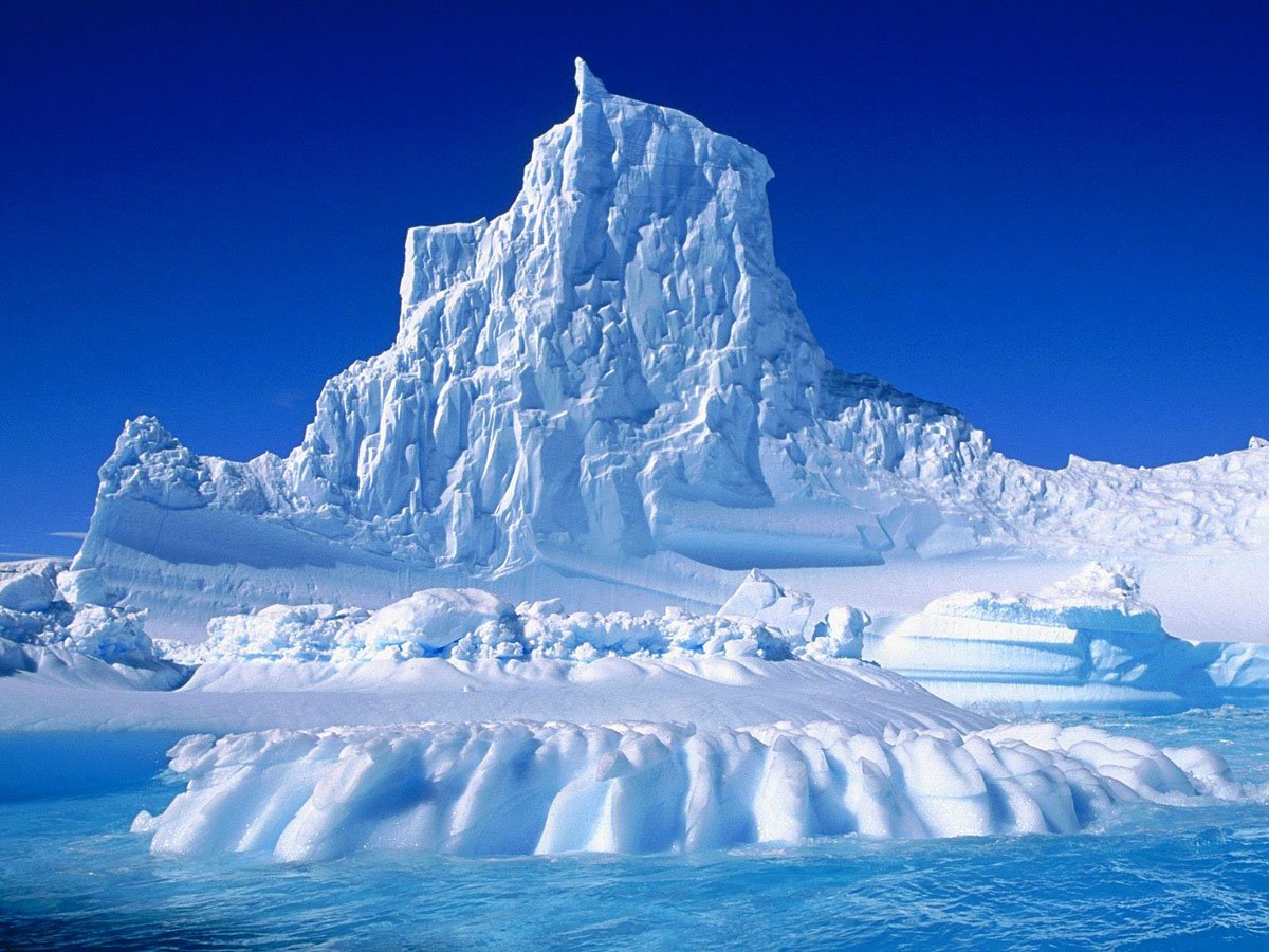 Ученые объяснили озеленение вод Арктики
