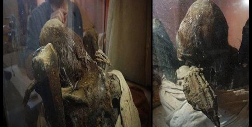 В Перу ученый обнаружил пугающую мумию пришельца