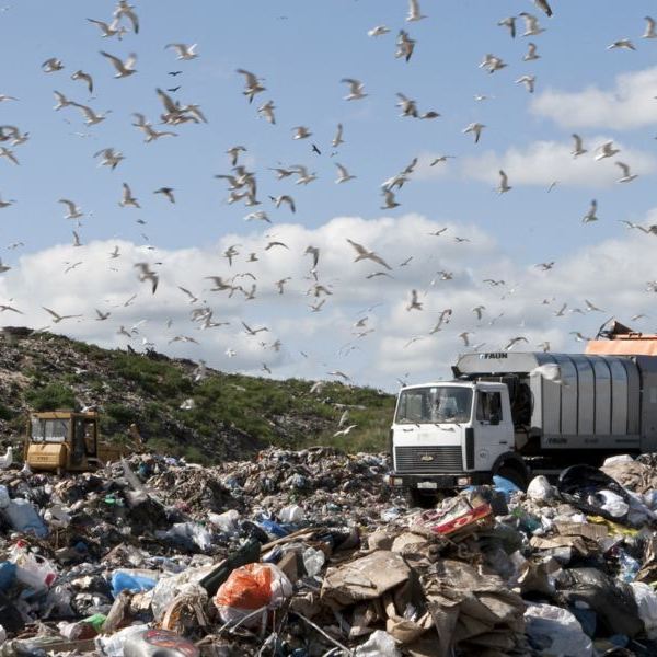 Асоціація міст України запропонувала, як врятувати країну від стихійних сміттєзвалищ
