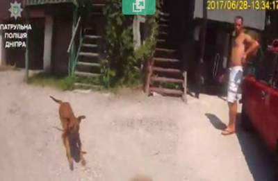 В Днепре мужчина натравил бойцовского пса на полицейских