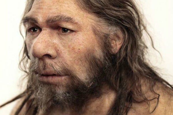 Какие гены достались современному человеку от неандертальцев