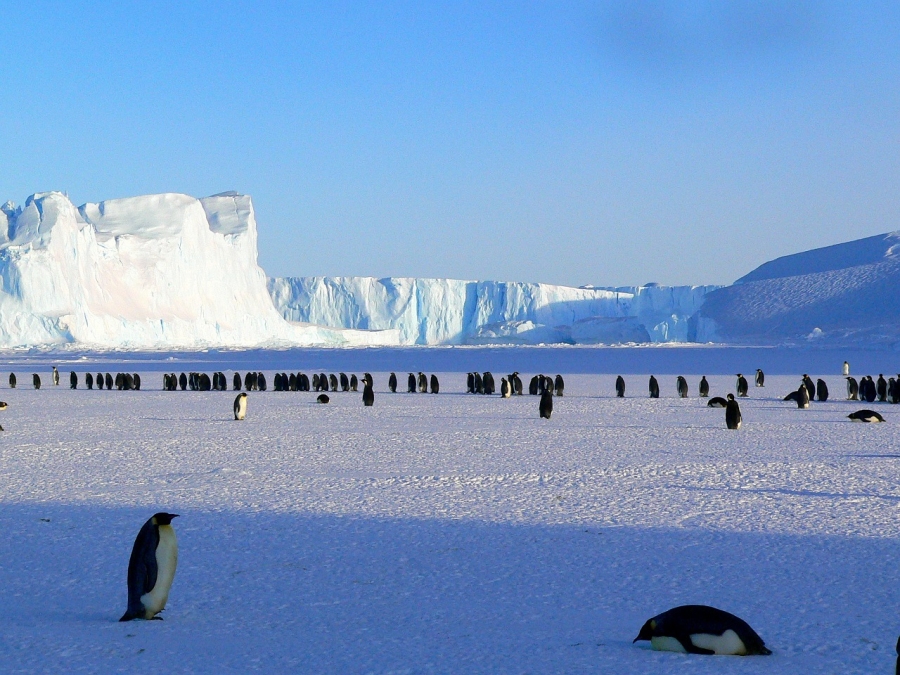 Ученые оценили скорость таяния льдов в Антарктиде