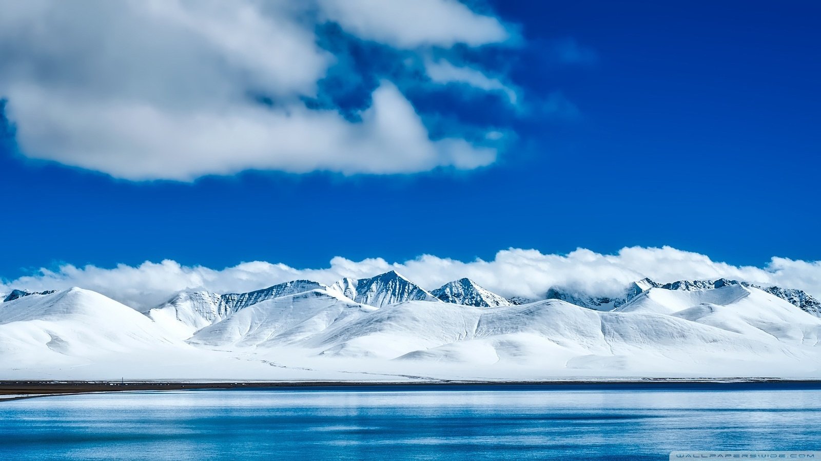 На Северном полюсе зафиксирована температура на 30 градусов выше нормы