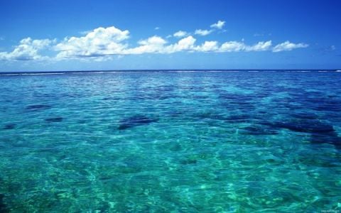 Ученые выяснили удивительный факт о мировом океане