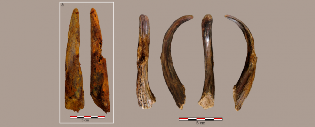 Ученые обнаружили захватывающие инструменты, которым 90 тысяч лет