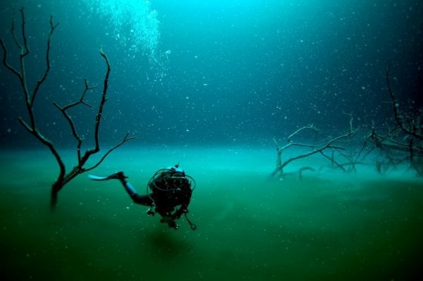 Экологи: Над Черным морем нависла угроза экологической катастрофы