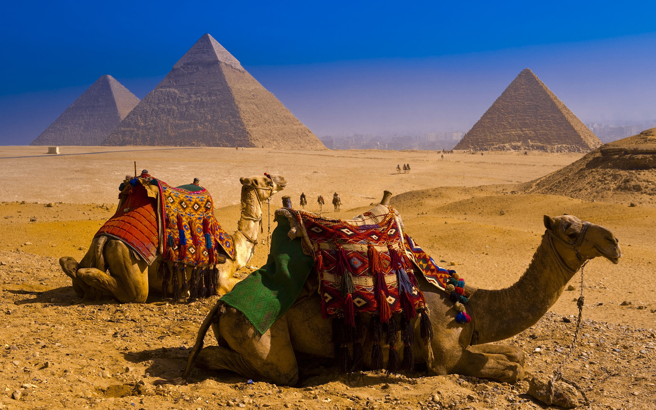 Преимущества горящего тура в Египет