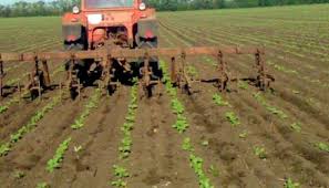 Дискование почвы: тракторные работы