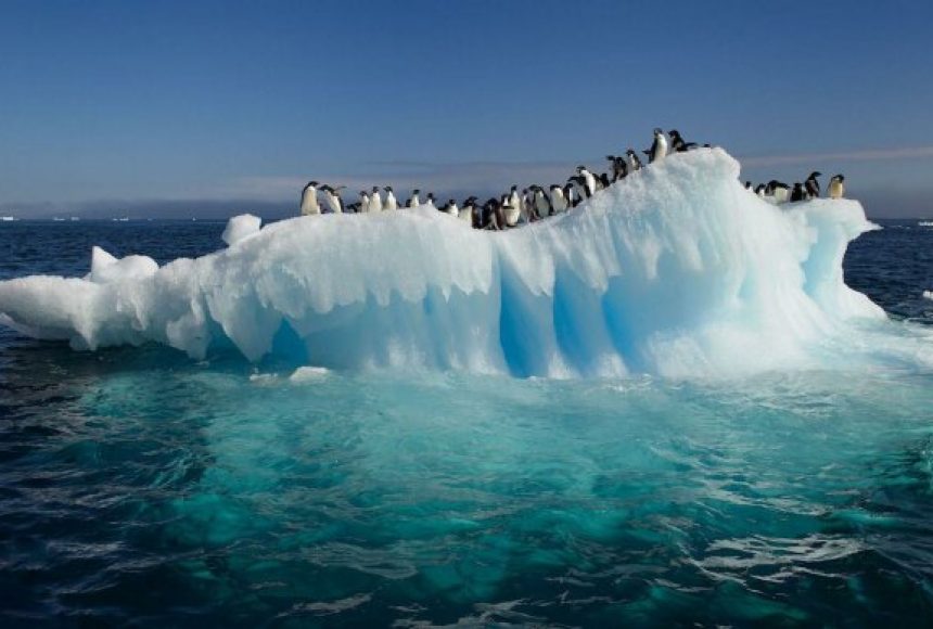 Найшвидший за нагріванням материк: що відбувається в Антарктиді