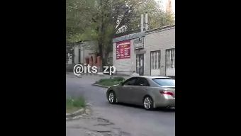 "Приключения Электроника – 2020": в Запорожье мужчина "выгулял" телевизор