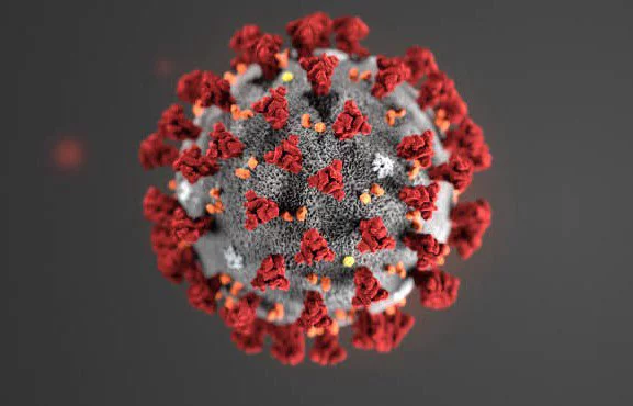 В ЕС заявили, что коронавирус угрожает безопасности развивающихся стран