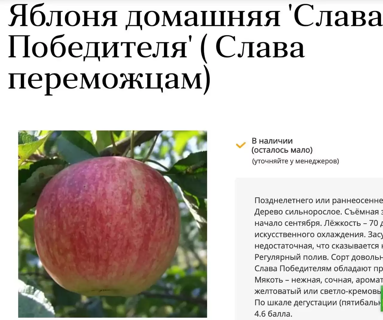 У Підмосков’ї жінка поскаржилася на «проукраїнські» яблука (ФОТО)
