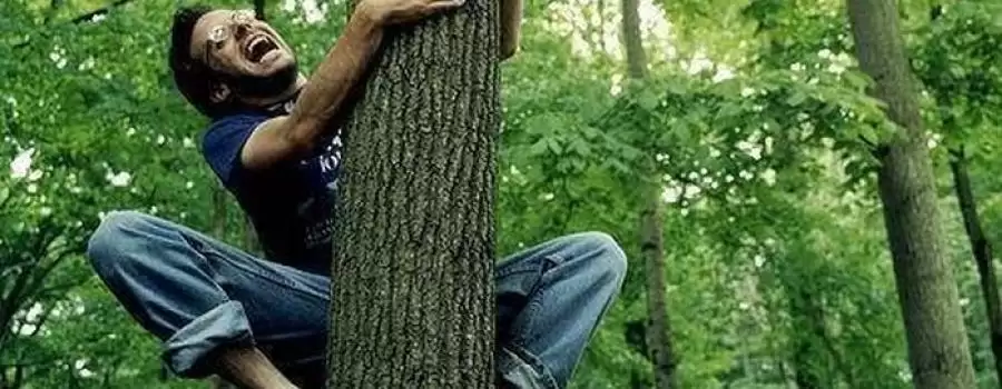 У Києві чоловік заліз на дерево та висунув вимоги щодо путіна (ВІДЕО)