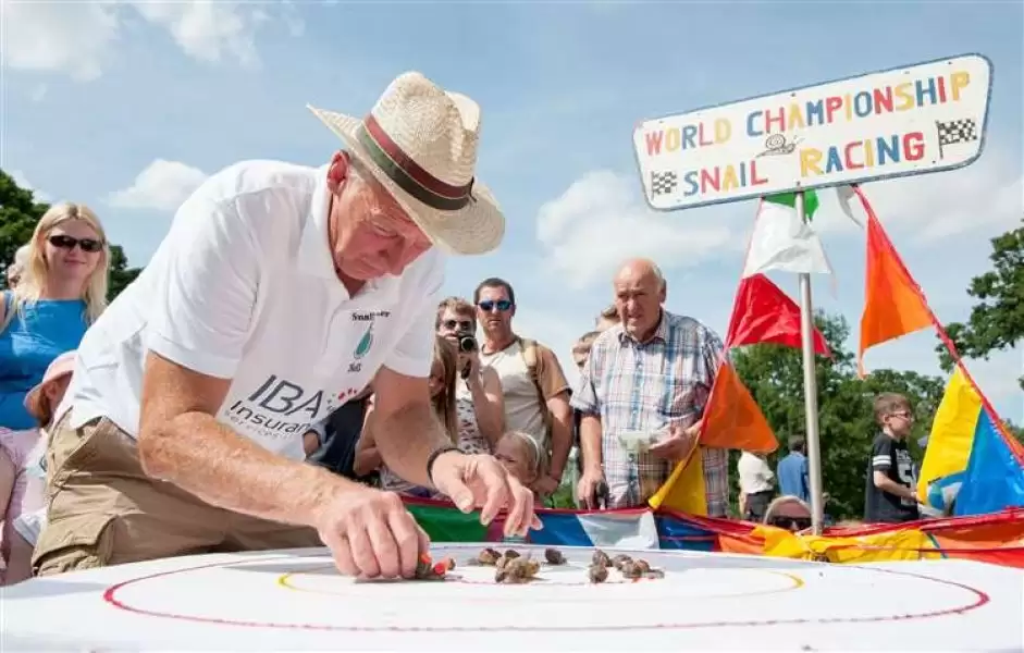В Англії відновили чемпіонат світу з перегонів равликів  (ВІДЕО)