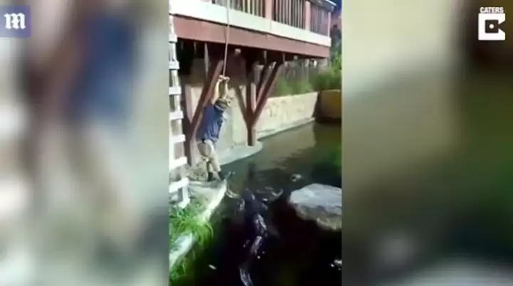 Падіння американця у басейн з алігаторами зняли на відео