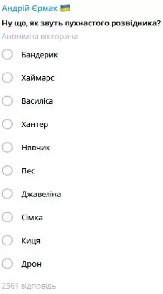 \"Після секретного завдання\": у Зеленського показали \"кота-розвідника\" (фото)