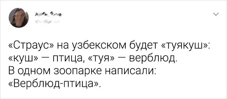 15 людей, які не надто парилися з перекладом і потрапили до комічної ситуації