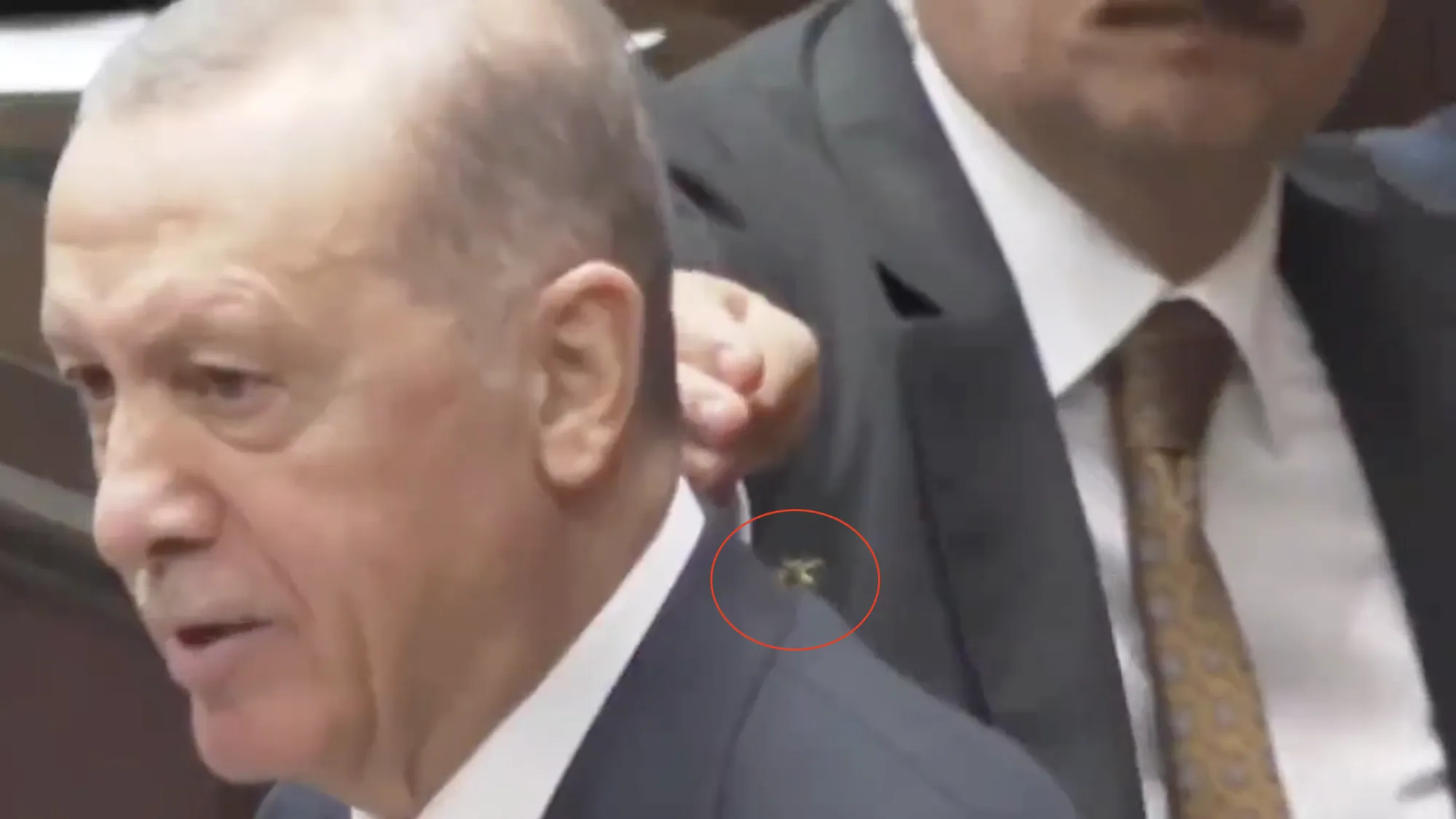 Охоронець Ердогана впевнено ліквідував осу, яка сіла на плече президента