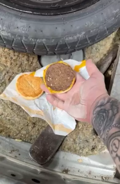 Розбив молотком: австралієць знайшов чизбургер із McDonald\