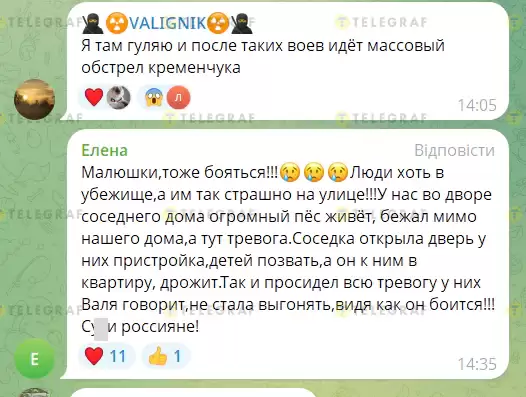 Замість додаткових сповіщень про тривогу? Українців насмішила пухнаста сирена