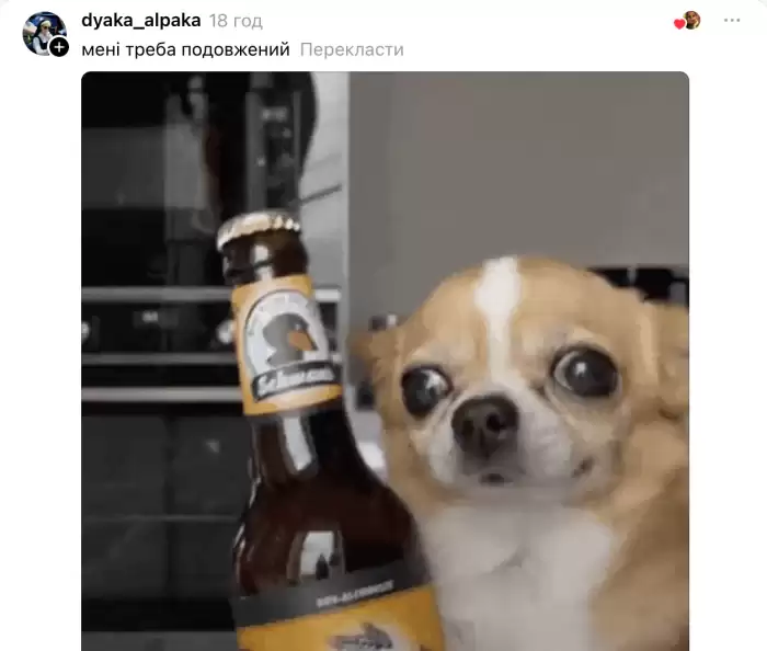 Буховик і бухліжко: українців насмішив одяг з неочікуваним наповнювачем Буховик і бухліжко: українців насмішив одяг з неочікуваним наповнювачем