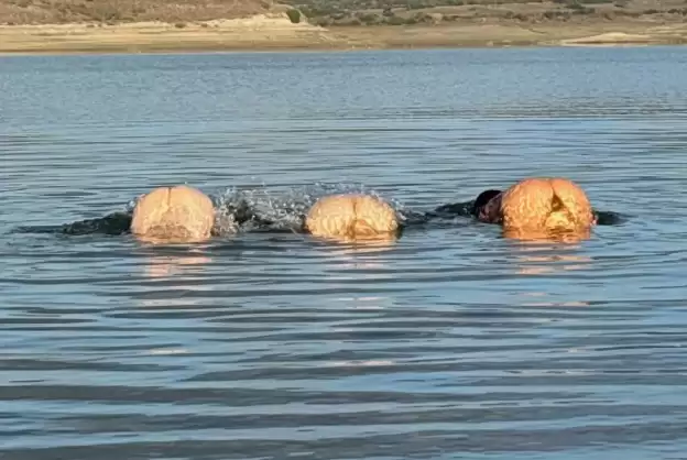 Акторка з \"Гри престолів\" знялася повністю оголеною
