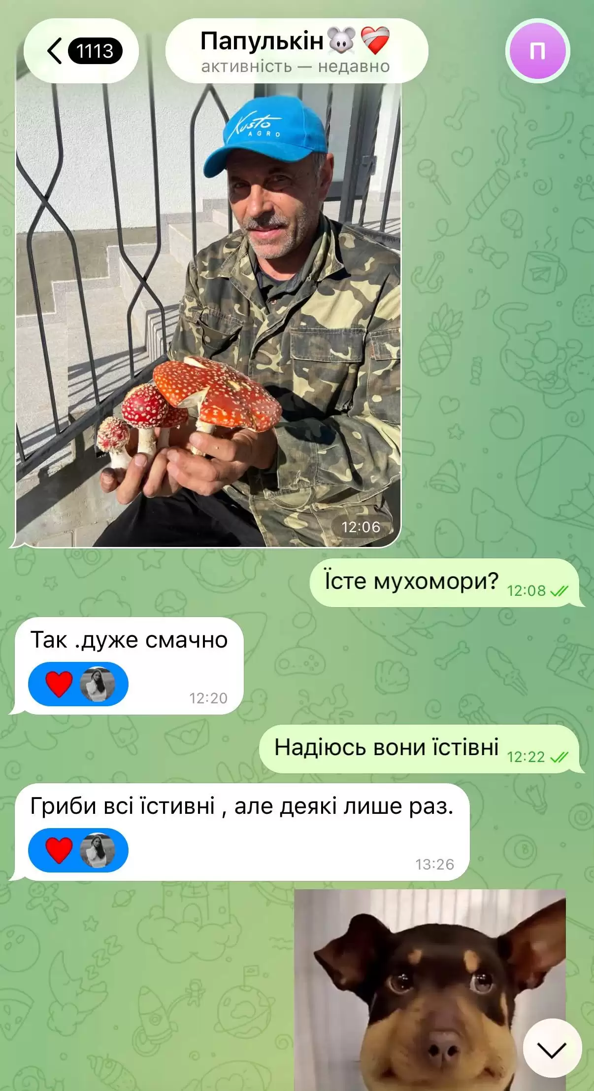 Смішніше за будь-який стендап: українці поділилися епічними переписками зі своїми батьками